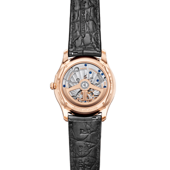 Immagine posteriore dell’orologio Q169242J